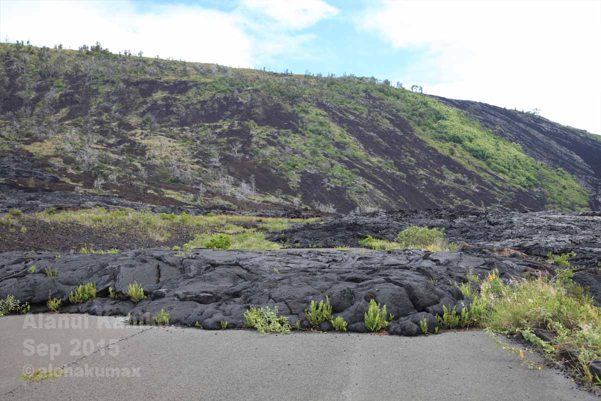 旧チェーン・オブ・クレーターズ・ロードに流れ着いて固まった溶岩