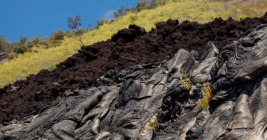 チェーン・オブ・クレーターズ・ロードの名のないシーニックポイント » 迫ってくるような溶岩が芸術的 ／ キラウエア火山 ハワイ島
