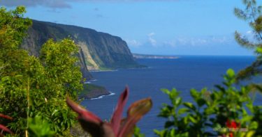 ハマクア・ハイダウェイ・クリフ・ハウス（バケーションレンタル） » ワイピオ渓谷の崖っぷちに建つ一軒家 ／ ハワイ島