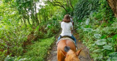 ワイピオ渓谷 乗馬ツアー（2019年7月） » 日本語OK！谷底を楽しむなら断然コレ ／ ハワイ島